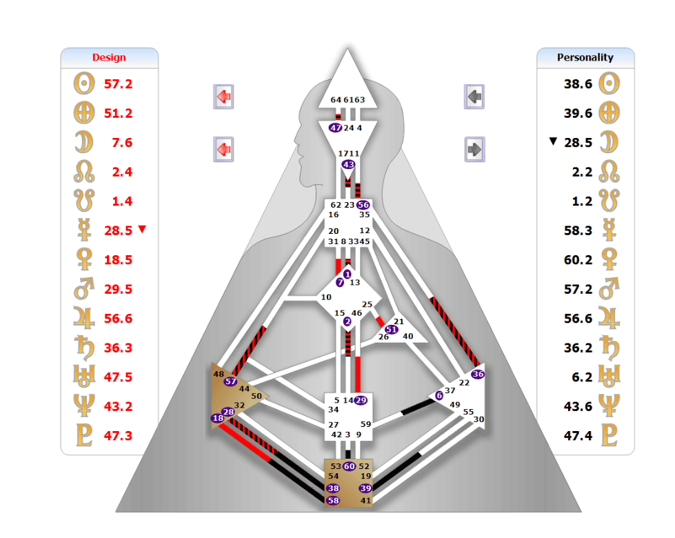 Human Design Chart SinneHart