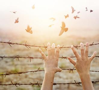 Trauma vastzitten en vrijheid