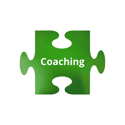 Coaching voor unieke breinen door Wendela van SinneHart in Gerkesklooster en Online